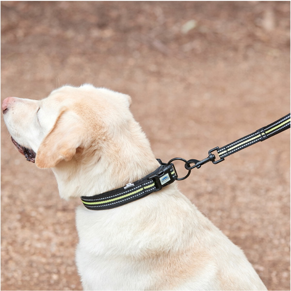 Weatherbeeta Reflektierendes Hundehalsband 1003618 - Yellow